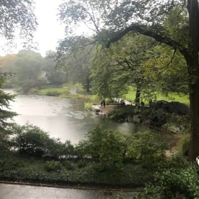 Pan11355's profile picture. 