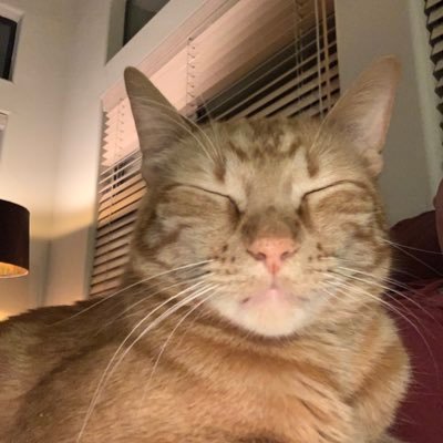 redmond_bowman's profile picture. "What claim will you have? That you rule over a destroyed society? That the ashes belong to you?"