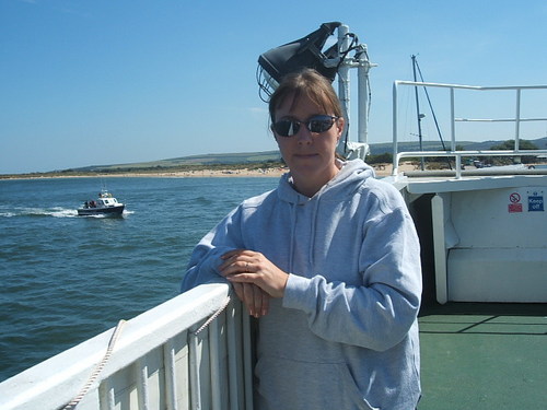 SitDogTrainer's profile picture. 