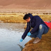 Alfredo Yanez (@alfmontalvo) 's Twitter Profile