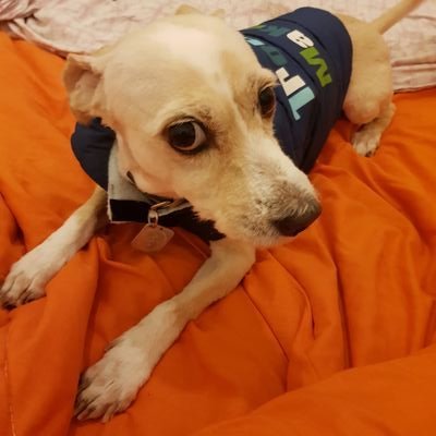 Christi01332038's profile picture. Hate the haters, Hate fanaticism.
loving books/comics/anime/kpop