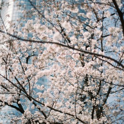 thetatheta34's profile picture. 