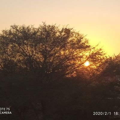 p14pravin's profile picture. Traveller