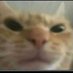 J.R (@idi0twithabrain) Twitter profile photo J.R (@idi0twithabrain) Twitter profile photo