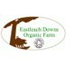 Eastleach Downs Organic Farm (@eastleachdowns) Twitter profile photo Eastleach Downs Organic Farm (@eastleachdowns) Twitter profile photo