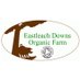 Eastleach Downs Organic Farm (@EastleachDowns) Twitter profile photo