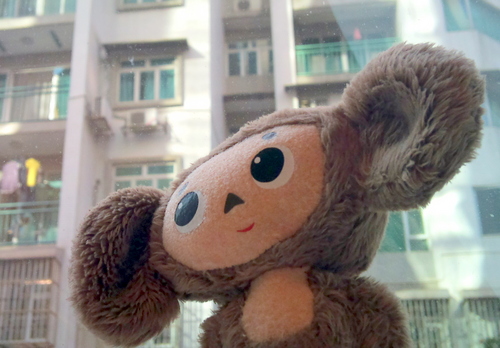 takora1973's profile picture. 福島県郡山から送られた桃の箱に入っていた正体不明の生物。ゴジラと怪獣映画とプログラムピクチャー大好き！映画は映画館で観る主義。某現像所をリストラされて仕事難民ですが年一を目標に海外へ旅に出ています。チェブラーシカの【ちぇ部員】でもあり中川信夫監督を偲ぶ集い【酒豆忌】実行委員でもあります。