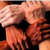 D214 Justice (@d214justice) 's Twitter Profile Photo