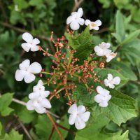 Monaghan Heritage (@monaghanherita1) 's Twitter Profile Photo Monaghan Heritage (@monaghanherita1) 's Twitter Profile Photo