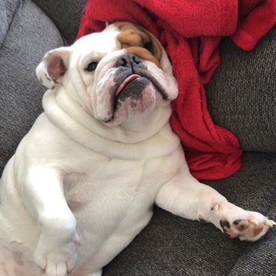 ryanf_33's profile picture. 