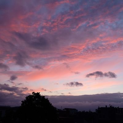 priiiciiilla's profile picture. 🌎global citizen #光時 #手足互科