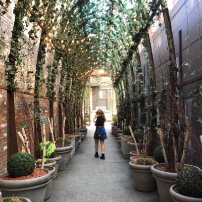 kaileyC_'s profile picture. THE SKY WAS GOLD