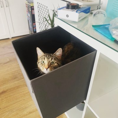 jamie0729d3's profile picture. 