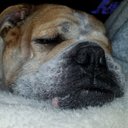 Lori Burks - @LoriBurks19 - Twitter