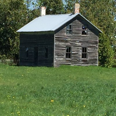 leannegowan's profile picture. 