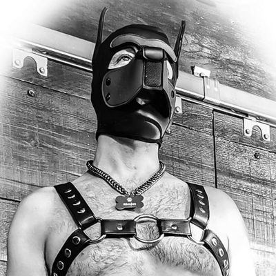 NSFW 🔞, a new Toronto Pup. Human puppy play, kink, BDSM, Locked 🔗 to @PupHydroMisfits. 💚
https://t.co/u4mdsrfPh1