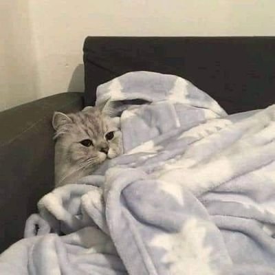 jared2025's profile picture. 