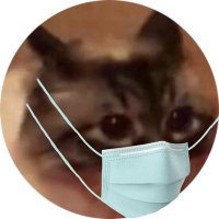 cat twt struggle tweets(@cattwtstruggle) 's Twitter Profile Photo