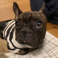 てつお (@rkthu20) 's Twitter Profile