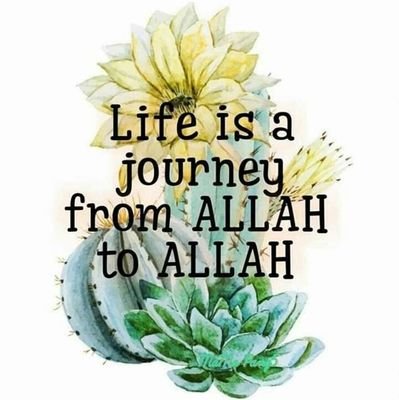 Alhamdulillah, Syukur ❤