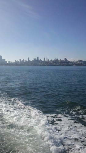 maggotscotty's profile picture. 