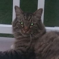 Zip (@zippittydo) 's Twitter Profile
