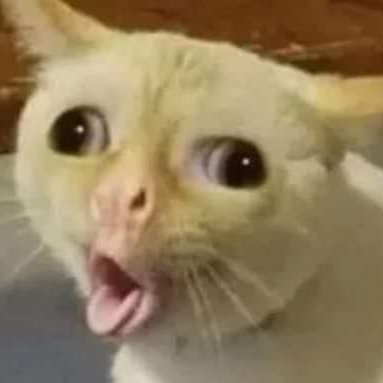 VPPbwcL7fQfB0bg's profile picture. 