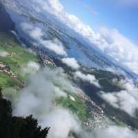 Dr.Dalal ALQurashi (@nov_day26) Twitter profile photo