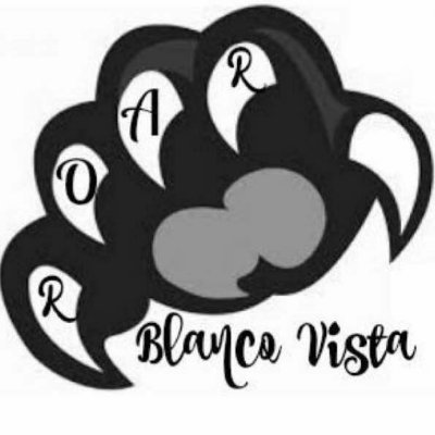 Welcome to Hays CISD's Blanco Vista Elementary Library's Twitter page run by librarian @amyschutze