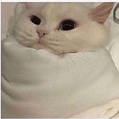 LeChubbs_'s profile picture. 