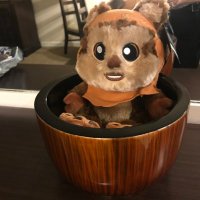 Dr. Ewok (@savannahtony) 's Twitter Profile