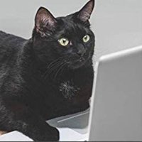 JAAL🛺 🇺🇲 (@llamacavalry) 's Twitter Profile Photo