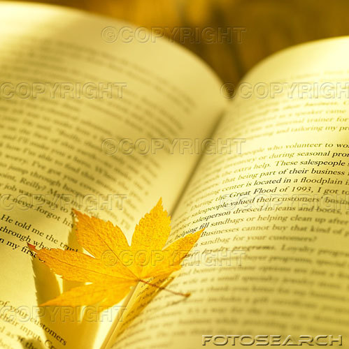 BookishBek's profile picture. Books, Beer, Baseball, Wine, Cooking, the Outdoors, Family, Friends