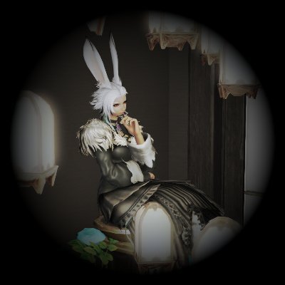 Fran@Mandragoraさんのプロフィール画像