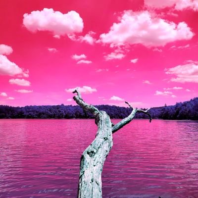 EconClass3's profile picture. 