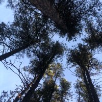 shwhat (@maddiequinn9) 's Twitter Profile