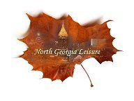NorthGaLeisure's profile picture. A Division of Southern Influence Marketing Group, LLC.
~Saving Main Street, One Brick at a Time ~
Everything Leisure From Midtown to the Mountains