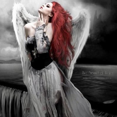 MinaMinaparisi2's profile picture. GOD is my life #Deplorable Violinist, This nation under God shall not perish from the earth. bc of the evil in it #WeThePeople #Liberty #Freedom #MAGAA2020 🇺🇸