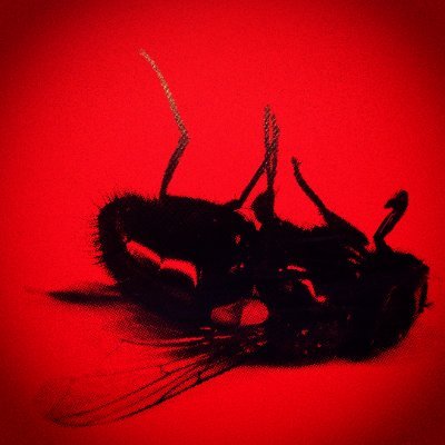 I play live and produce hard, modular, sound-design focused techno