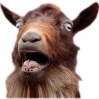 MoA GOATs (@goatsmoa) 's Twitter Profile