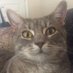 n_hedd (@n_hedd) Twitter profile photo n_hedd (@n_hedd) Twitter profile photo
