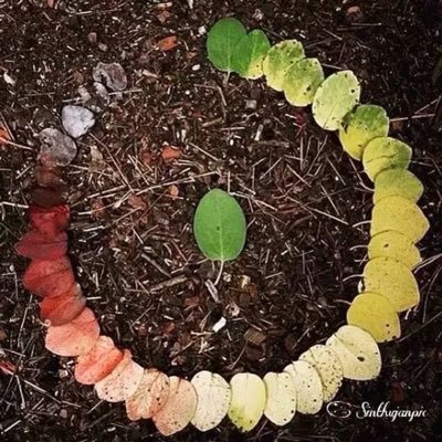 一位哲人说：这个世界是灰色的。想想也是，诸多事情并非是非黑即白，非对即错，我们看到的颜色，也是阳光下衍生出来的幻象
