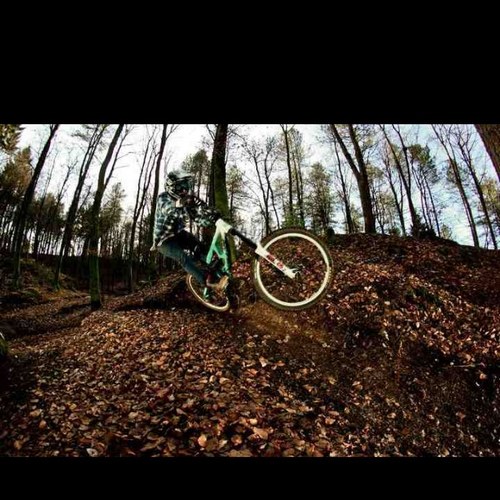 shadowpuppet21's profile picture. carpenter. man.