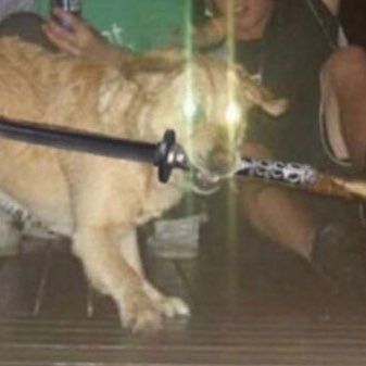 ez11721's profile picture. 