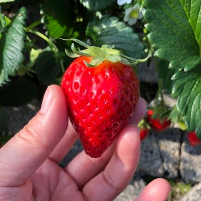 v5R70YW5zlDG9tm's profile picture. 新しい人や物や場所との出会いを広げられると嬉しい。ゆっくりのんびり婚活再開。