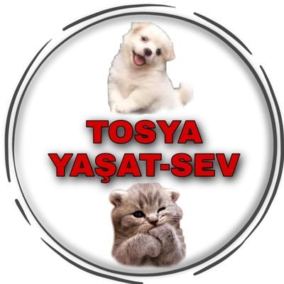 Kastamonu Tosya Sokak Hayvanlarını Koruma ve Yaşatma Derneği YAŞAT SEV
Dernek Başkanı:Zehra Erden
iletisim WhatsApp: 0545 313 20 50