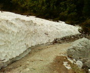 musicality4up2's profile picture. 