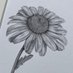 The Wight Pencil (@thewightpencil) Twitter profile photo The Wight Pencil (@thewightpencil) Twitter profile photo