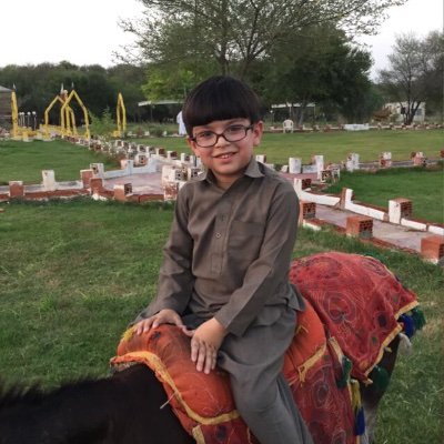 amirgandapur's profile picture. 