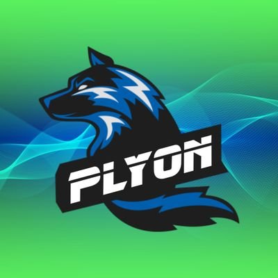 PlyoN
Gamer
🇩🇪